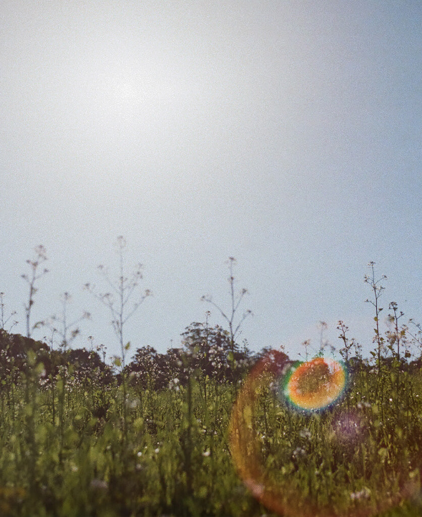 A CLIMATE POSITIVE FUTURE