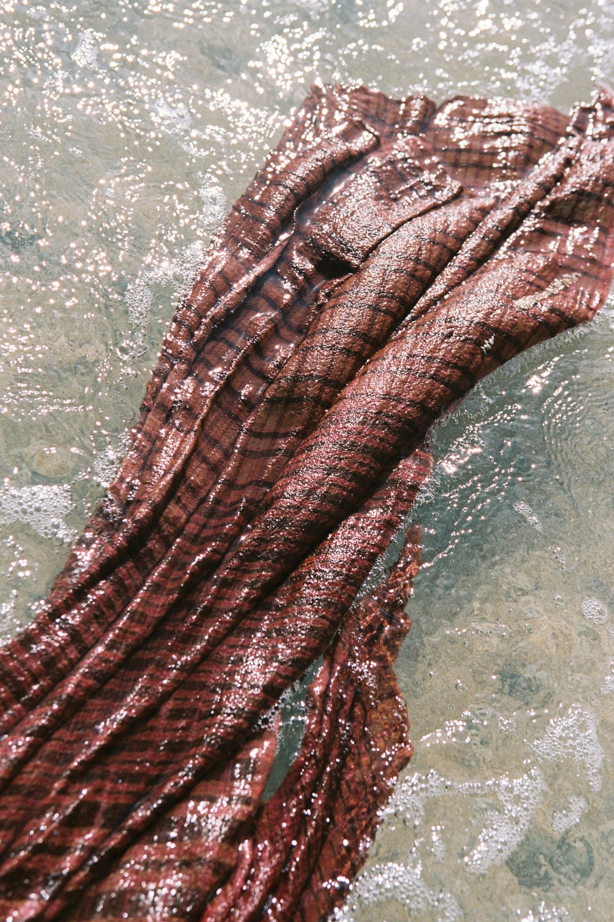 MADHYA HANDLOOM SARONG