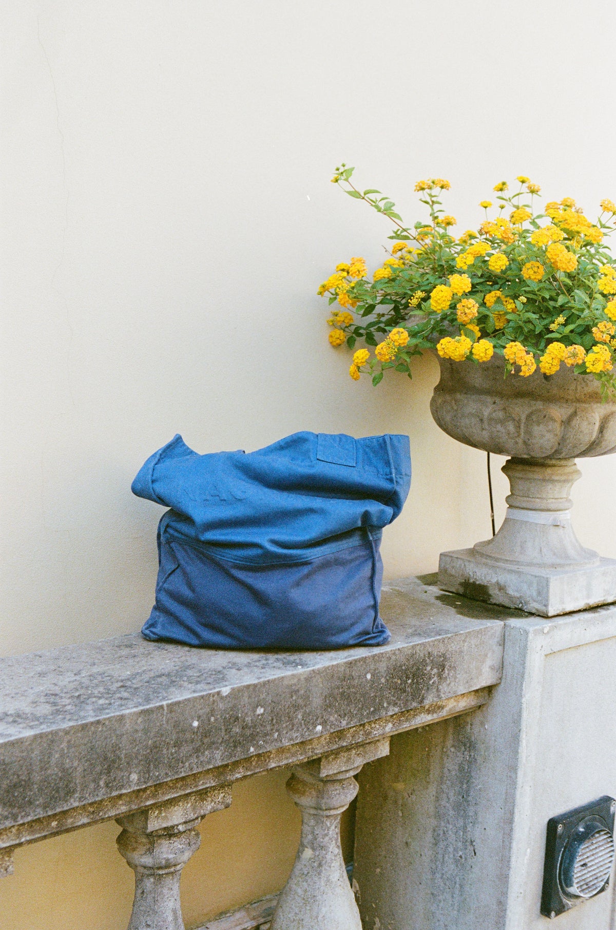 VEGETABLE DYE UTILITY TOTE